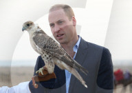 PEOPLE - Prinz William in Kuwait