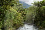 REPORTAGE - Costa Rica