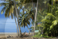 REPORTAGE - Costa Rica