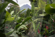 REPORTAGE - Costa Rica
