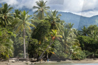 REPORTAGE - Costa Rica