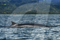 REPORTAGE - Costa Rica