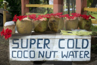 REPORTAGE - Costa Rica