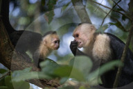 REPORTAGE - Costa Rica