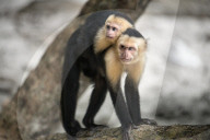 REPORTAGE - Costa Rica