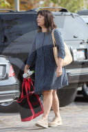 Mel GibsonÍs first-wife, Robyn Moore, makes a rare public appearance as she goes grocery shopping in Malibu. 