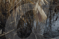 ‘It’s like the third world’: tribe feels forgotten as flooding brings misery to a struggling community. Help has been slow to arrive to White Swan after severe flooding compounded long-standing social and economic inequalities.