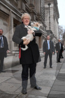 Boris Johnson votes