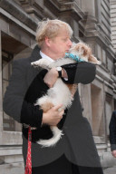 Boris Johnson votes