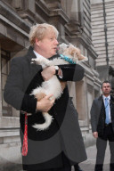 Boris Johnson votes