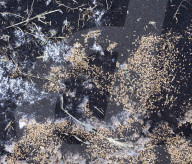 Canadas farmers pushed to the brink
