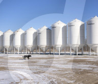 Canadas farmers pushed to the brink
