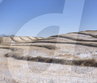 Canadas farmers pushed to the brink