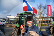NEWS - Bauernproteste in Holland