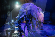 Roll up, roll up! Circus 1903. With all the thrills and daredevil entertainment of a turn-of-the-century circus, the sensational Circus 1903 returns to the Southbank Centre this Christmas. Photographer David Levene goes behind the curtain to meet the perf