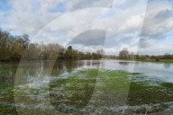 NEWS - GB: Die Themse führt Hochwasser