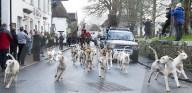 Boxing Day Mid Devon Hunt