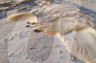 FEATURE - Kamele im Schnee in der Wüste bei Bayan Nur in der Mongolei
