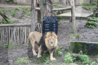 London Zoo Annual Stocktake 2020