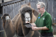 London Zoo Annual Stocktake 2020