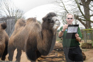 London Zoo Annual Stocktake 2020