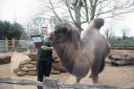 London Zoo Annual Stocktake 2020