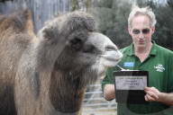London Zoo Annual Stocktake 2020