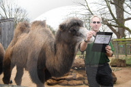 London Zoo Annual Stocktake 2020