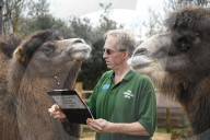London Zoo Annual Stocktake 2020