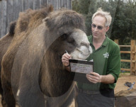 Annual Stock-take at ZSL