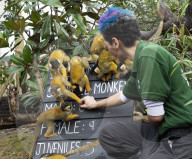 Annual Stock-take at ZSL