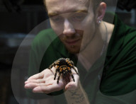 Annual Stock-take at ZSL