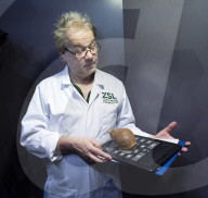 Annual Stock-take at ZSL