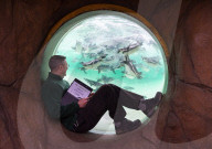 Annual Stock-take at ZSL