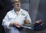 Annual Stock-take at ZSL