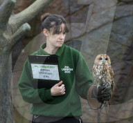 Annual Stock-take at ZSL