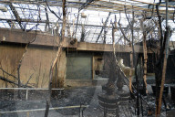 NEWS - Brandkatastrophe im Krefelder Zoo