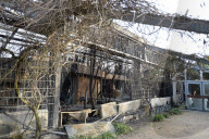 NEWS - Brandkatastrophe im Krefelder Zoo