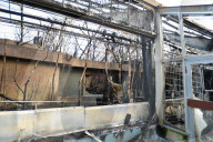 NEWS - Brandkatastrophe im Krefelder Zoo