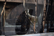 NEWS - Brandkatastrophe im Krefelder Zoo