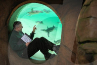 FEATURE - Jährliche Tierzählung im Londoner Zoo