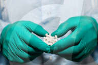 Bioprinted bone sample