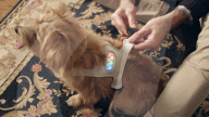 FEATURE - Sensor zeigt Gemütszustand des Hundes an