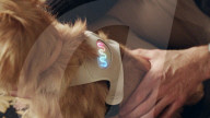 FEATURE - Sensor zeigt Gemütszustand des Hundes an