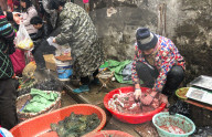 NEWS - China: Mysteriöse Lungenkrankheit der zentralchinesischen Provinz Hubei