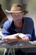 PRINCE HARRY RIDING HIS HORSE 'GUARDSMAN' MUSTERING HERD BULLS, TOOLOOMBILLA, QUEENSLAND, AUSTRALIA - 27 NOV 2003