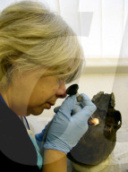 FEATURE -  Aus Wissenschaft und Forschung: Wissenschaftler untersuchen das 2600 Jahre alte Heslington-Hirn