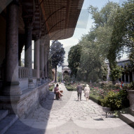 Colour Medium Format Transparency
