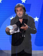 25th Annual Critics' Choice Awards, Show, Barker Hanger, Los Angeles, USA - 12 Jan 2020