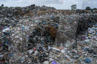 NEWS - Abfälle auf einer Deponie in Lhokseumawe, Indonesien